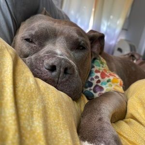 Meet your Posher, Genna